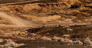 热火阵容齐整迎战魔术！希罗&拉尔森等4人今天均可出战